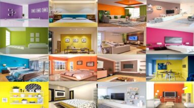 Best Colour Combination for Living Room Wall, House Wall, Interior Wall Color Ideas, Bedroom Wall