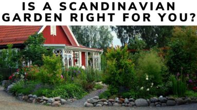 Is a Scandinavian garden right for you?