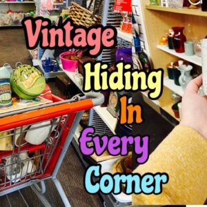 THRIFT WITH ME for VINTAGE Home Decor | Vintage Finds EVERYWHERE!
