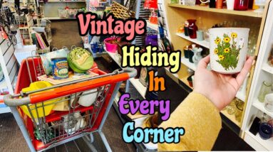 THRIFT WITH ME for VINTAGE Home Decor | Vintage Finds EVERYWHERE!