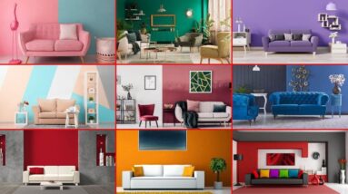 Best Colour Combination For Living Room And Bedroom Walls | Interior Wall Colour Combination