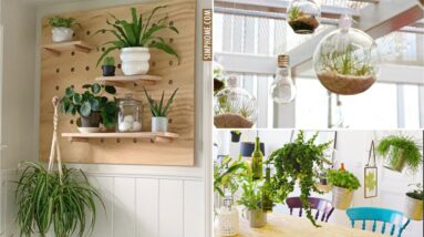 10 Indoor Floating Garden Ideas