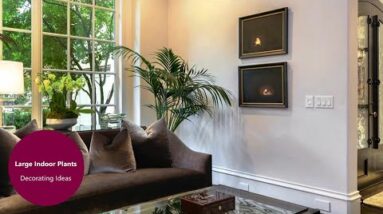 Decorating with Large Indoor Plants | Instant Makeover