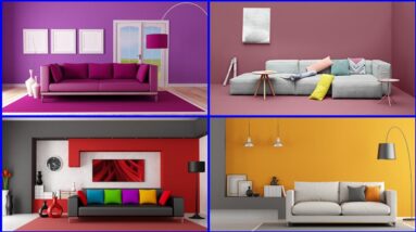 Best Colour Combination For Living Room Walls | Drawing Room Wall Colour Combination