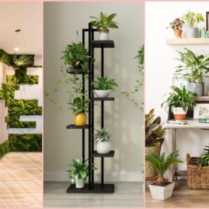 150 Best Indoor Plant Design Ideas 2022 || Modern Home Indoor Plant Designs For Interior Decoration