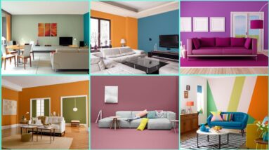 Gorgeous Living Room Colour Combination Ideas 2022 | Best Home Interior Color Decoration Designs