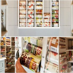 10 Cost Effective Pantry designs and Projects