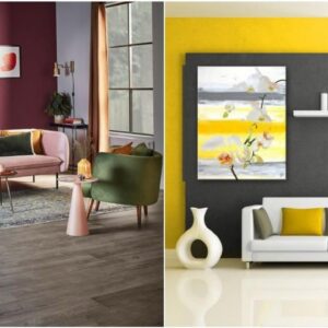 100+ Eye Catching Living Room Colour Combinations | Best Paint Colors For Modern Home Wall Colour