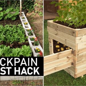 10 Small Garden Allotment Ideas