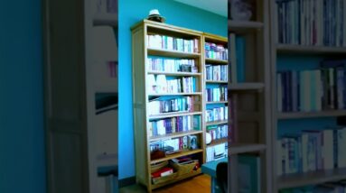 Inside of a LUXURY APARTMENT with a CLASSIC style look