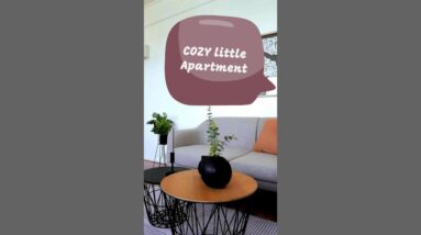 Inside of a COZY little Apartment #shortsvideo #grigstamate #smallapartment #interiordesign