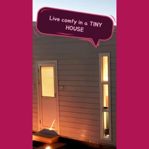 Live comfy in a TINY HOUSE #shorts #tinyhouse #grigstamate #shortsvideo #interiordesign