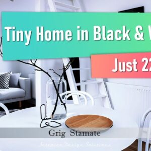 Just 226 sq ft Incredible Tiny Home in Black & White