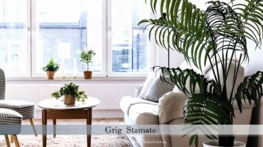 Bring Nature Inside with Beautiful Green Plants